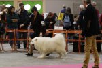 Nantes 2015